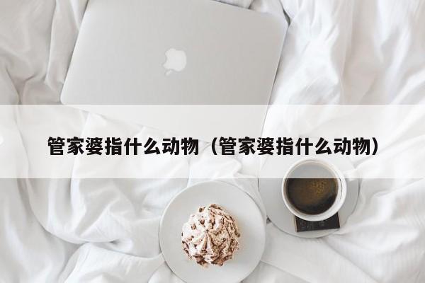 管家婆指什么动物（管家婆指什么动物）
