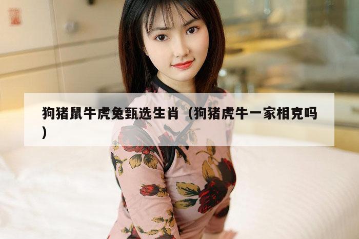 狗猪鼠牛虎兔甄选生肖（狗猪虎牛一家相克吗）